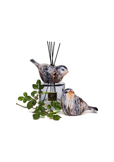 Kendi Kokunu Seç-bird Collection Siyah Cam Çubuklu Difüzör Esanssız Karışık