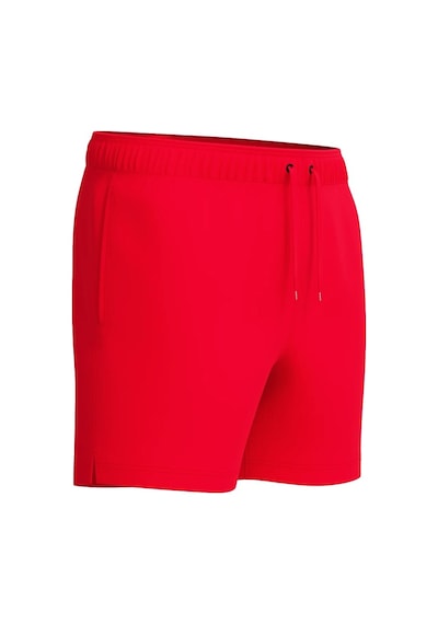Speedo Classic Logo Volley 16" Erkek Şort Mayo Kırmızı