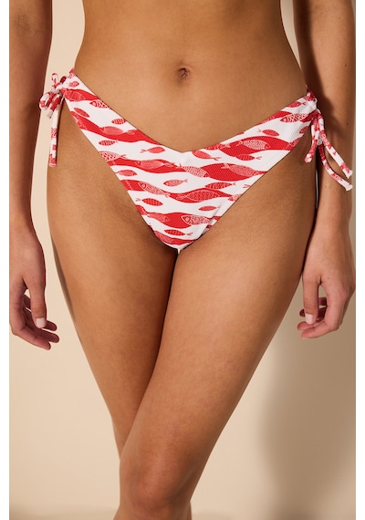 Penti Marine Fish V Ring Dokulu Çok Renkli Bikini Altı Ply41as424ıy-mıx Çok Renkli