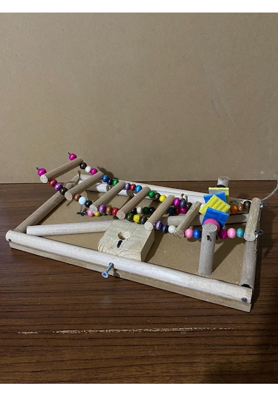 Paks Pet Kuş Oyun Parkı No:14