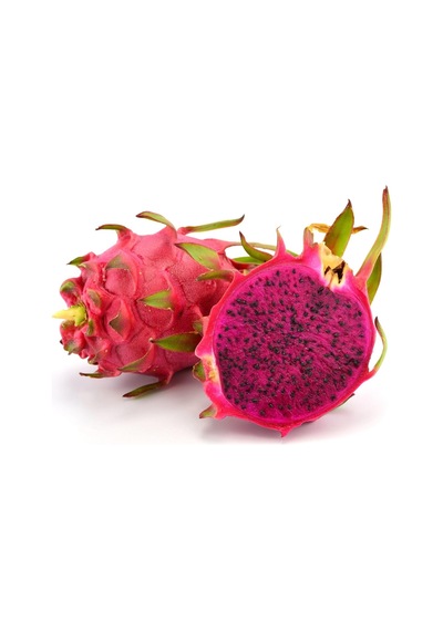 Kırmızı Pitahaya Ejder Meyvesi Köklü Ve En Az 2 Loblu Sınırlı