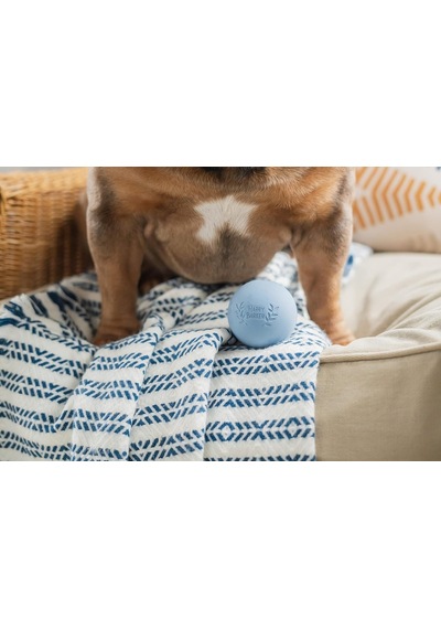Ayrex Harry Barker Kauçuk Toplar Ve Kauçuk Çiğneme Çubuğu, Köpekler İçin Kauçuk Kemik - 2,5 İnç Kauçuk Toplar