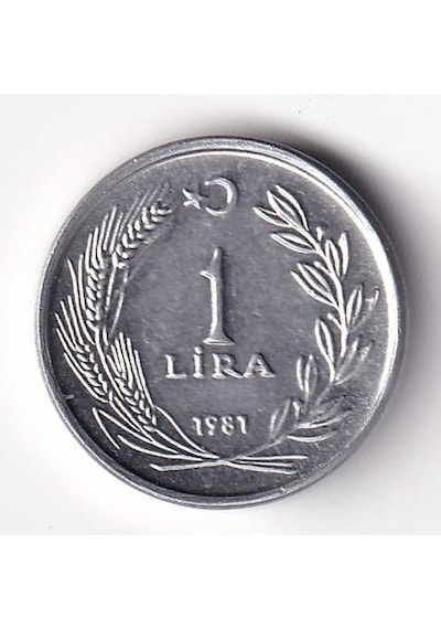 1 Lira 1981 Çil Eski Madeni Para