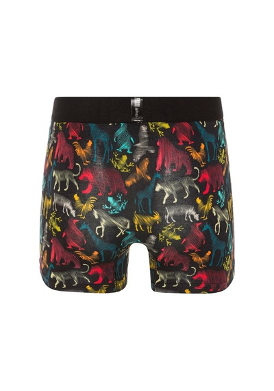 Farm Animals All Animals Desenli Boxer Çok Renkli