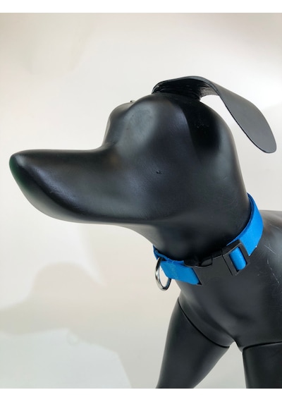 Mita Ayarlanabilir Köpek Boyun Tasması Turkuaz