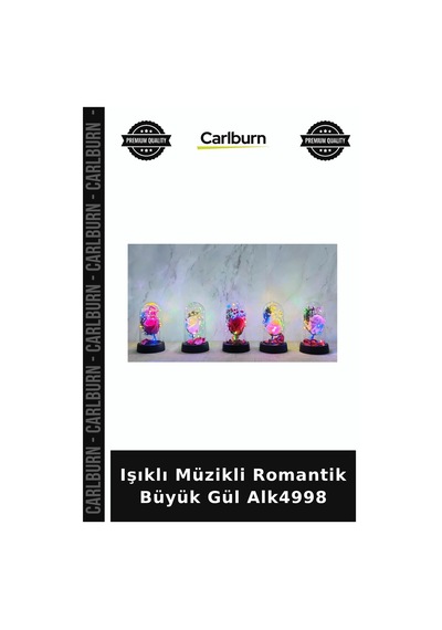 Işıklı Müzikli Romantik Büyük Gül Ev Dekorasyonu Oda Süsü Gece Lambası Diğer