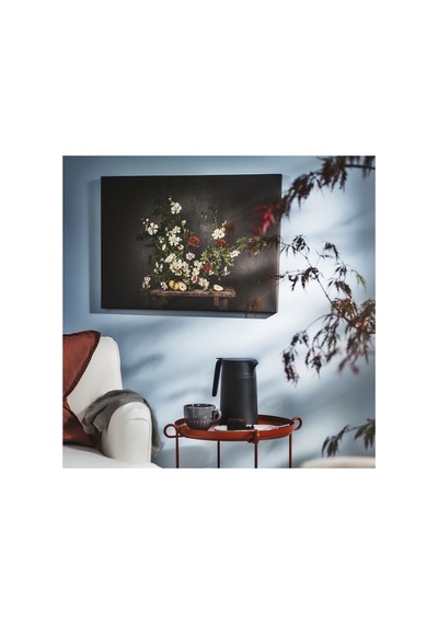Ikea Pjätteryd Resim 70x50 Cm Çok Renkli