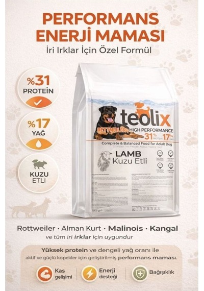 Teolix Kuzu Etli Köpek Maması 15 Kg %31 Protein %17 Yağ İri Irklar İçin Enerji Maması