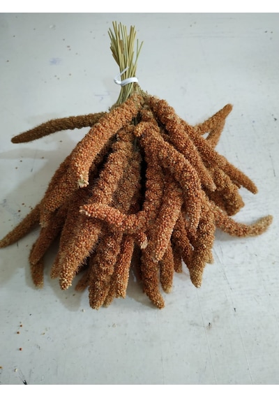 Doğal Kizil Dal Dari 250gr