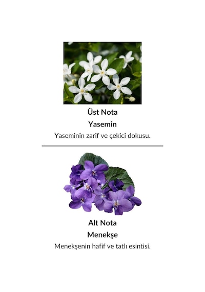Alescia St-01 Kadın Parfüm EDP 50 ML