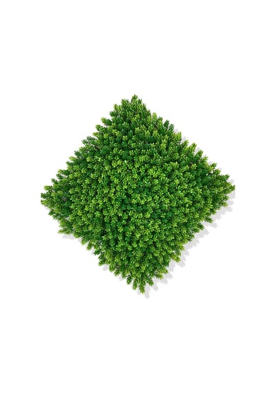 Cihan Çiçekçilik Yapay Çamdalı Bitki Duvar Kaplama 50x50 Cm Açık Yeşil Beyaz- Yeşil