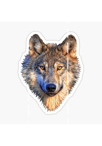Kurt Araba Sticker Etiket Yapıştırma 18 Cm