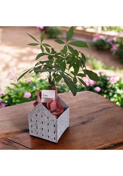 Ayrex Dekoratif Keçe Saksı Ve Organizer Sepet Gri, 20x20x25 Cm, 3 Mm Kalınlıkta Çok Amaçlı Keçe Saklama Kutu Diğer