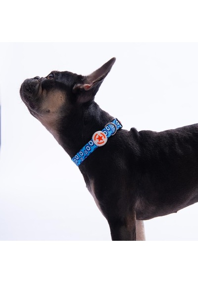 Charm Nazar Boncuğu Desenli Köpek Boyun Tasması Ayarlanabilir Köpek Tasması S Mavi