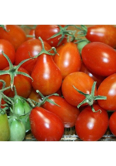Kırmızı Armut Domates Tohumu N116260