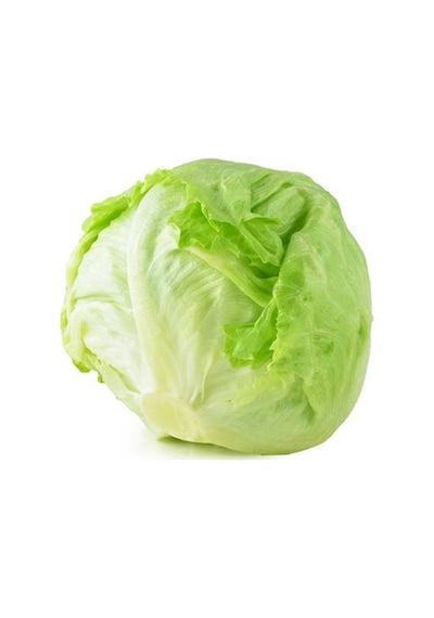 AGRodal Tarım Doğal Marul Tohumu Iceberg 1000 Adet