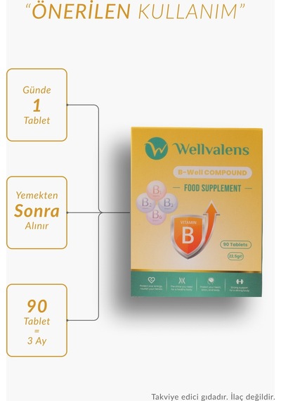 B Well Compound B1 B2 B3 B6 Vitaminleri İçeren 90 Tablet