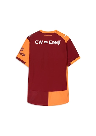 Gsstore Galatasaray Puma 2025/2026 İç Saha Parçalı Profesyonel Forma 78062601 Sarı - Kırmızı