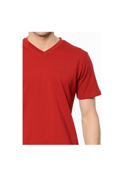 T8537 Dewberry T-shırt-bordo Bordo