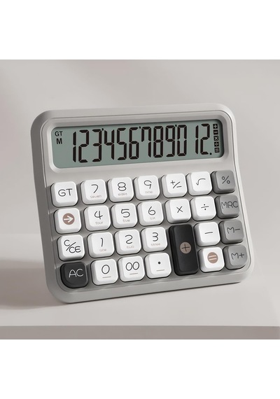 Daxı X-250 12 Haneli Hesap Makinesi Pastel Gri 124-Pembe
