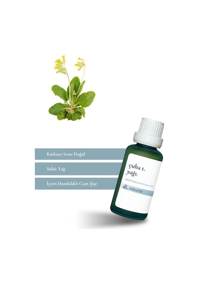 Sabunal Çuha Tohumu Yağı 30 ML - Cilt Bakım Yağı
