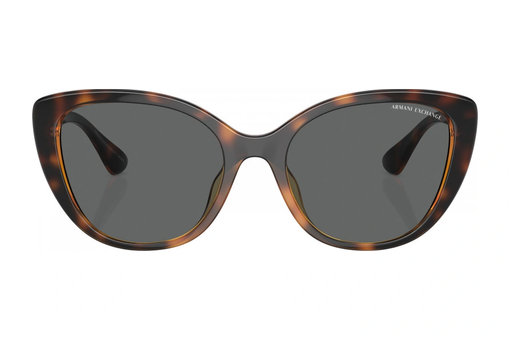 Armani Exchange Güneş Gözlüğü Ax4111su 54 821387 Kahverengi