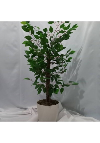 100 Cm Islak Doku Benjamin Yeşil