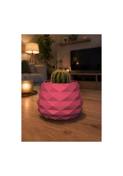 Geometrik Mini Kaktüs Saksısı Dekoratif Masa Üstü Saksı 3d Baskı