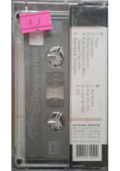 Plak Değildir Kaset Tir Gülben Ergen Uçacaksın Kaset