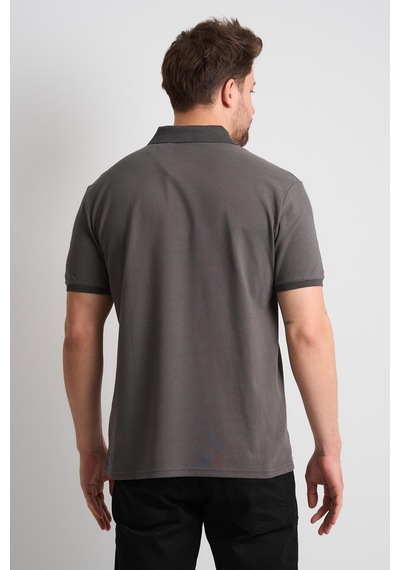 Alexander Gardi Alexandergardı Polo Yaka Düğmeli T-shirt Antrasit