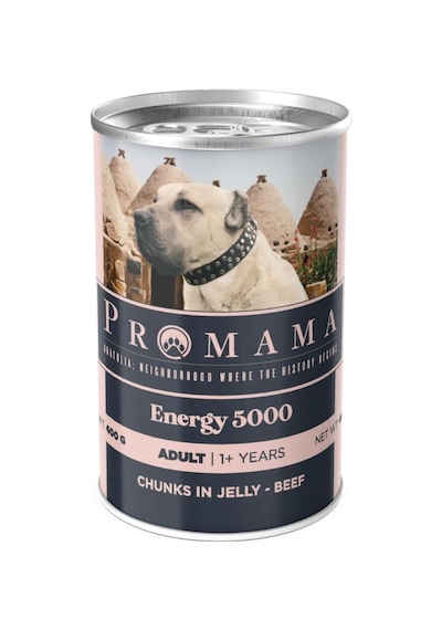 Energy 5000 Yetişkin Köpekler İçin Biftekli Konserve Yaş Mama, 36lı Koli 400 Gr