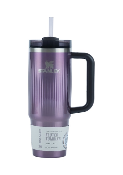 Stanley Unisex Termos-1013003018 Mor