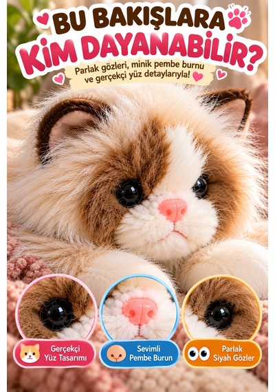 Krem Gerçek Kedi Görünümlü Pelüş Kedi 50 Cm Uzun Tüylü Yumuşacık Sarılmalık Dekoratif Oyuncak Kedi