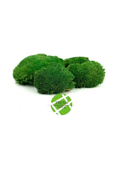 Top Yosun Şoklanmış Ort. 500 Gr. Ballmoss Yosun Koyu Yeşil