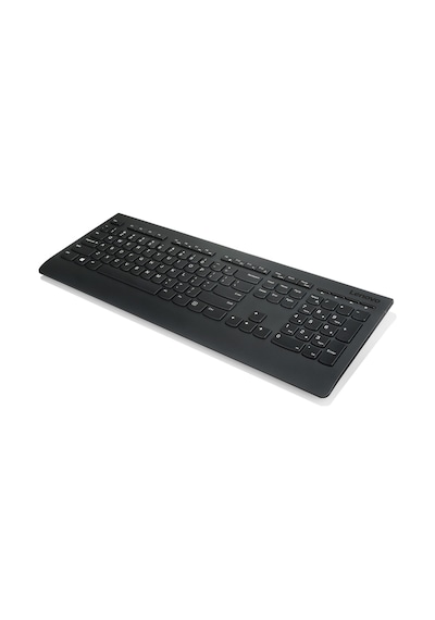 Lenovo 4X30H56827 Professional Wireless Combo Klavye ve Mouse