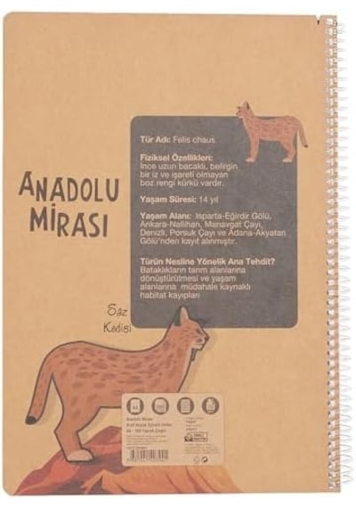 Anadolu Mirası Spiralli Defter, A4, 100 Yaprak, 70g Kağıt, Çizgili, 500 Mikron Pp Kapak, Pet Spiralli, Asorti Renkler, Dayanıklı Ve Ergonomik Kullanım 103 Ivory