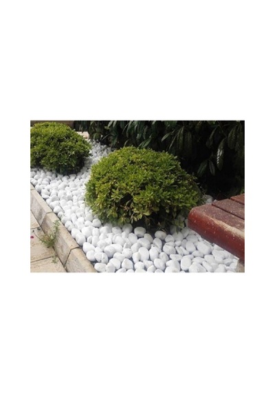 Beyaz Dolomit Taş 25 Kg 4 6 Cm Dekoratif Bahçe Süs Taşı Loche