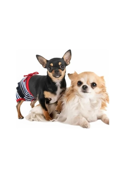 Pretty Liva Dişi Köpek Regl Külotu Köpek Donu Köpek İç Çamaşırı Ayarlanabilir Bağcıklı Küçük Irklar İçin