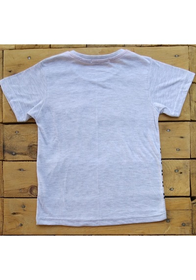 Tanem Kids Kısa Kollu Erkek Çocuk T-Shirt 5-7 Yaş Gri