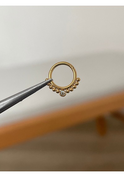 316 L Cerrahi Çelik Zirkon Taş Detaylı Halka Kıkırdak Helix Tragus Piercingi Altın
