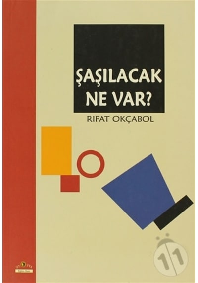 Şaşılacak Ne Var?