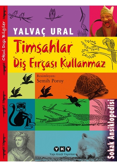 Timsahlar Diş Fırçası Kullanmaz N11.12471