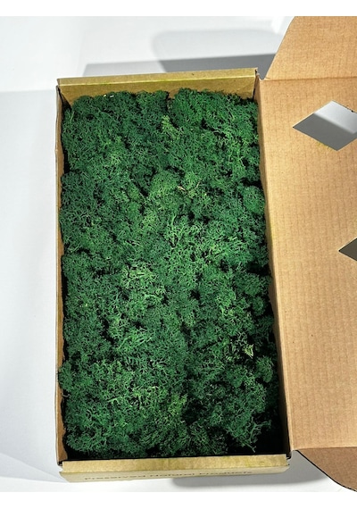 Reindermoss Şoklanmış Norveç Yosunu Terarium Yosunu Forest Green 5 Kg.