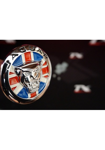 Jaguar English Flag Vidalı Ön Panjur Izgara Panter 3M 3D Logo (548752921)