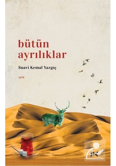 Bütün Ayrılıklar / Suavi Kemal Yazgıç