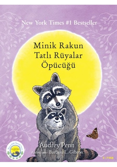 Minik Rakun Tatlı Rüyalar Öpücüğü - Qhdh-899664
