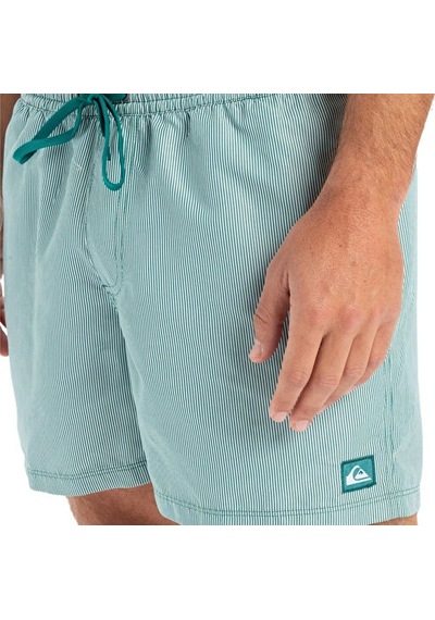 Quiksilver Everyday Deluxe Volley 15 Erkek Şort Mayo Eqyjv04101-21882 Yeşil Yeşil