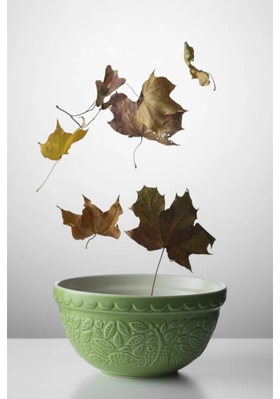 In The Forest 21cm Hedgehog Mixing Bowl Karıştırma Kasesi Yeşil