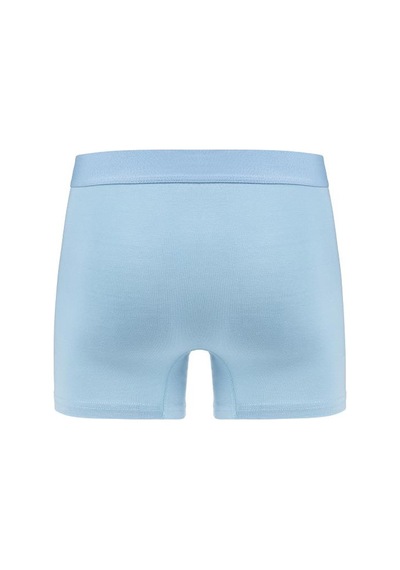 Efsi 3014 Erkek Boxer 001