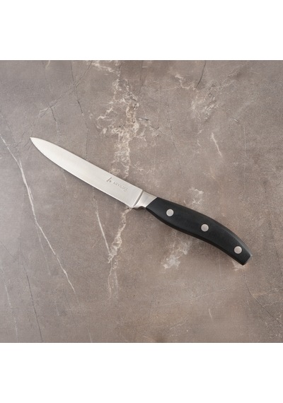 Aryıldız Durinox Saplı Dekor Bıçağı 19 Cm Renkli